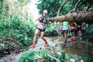 BIB: 
                            <button type="button" onclick="openModal(25468440)" class="btn btn-primary btn-sm float-right btn-popup" data-toggle="modal" data-target=".modal-high-quality">
                        <i class="fas fa-shopping-cart"></i> Add to Cart
                    </button>
                                            <button type="button" onclick="isThisMe(25468440, true)" class="btn btn-success btn-sm float-right btn-popup btn-isme hidden" data-toggle="tooltip" data-placement="bottom" title="นี่คือรูปของคุณใช่ไหม คลิกที่นี่เพื่อเอาเข้าอัลบั้ม">
                        <i class="fas fa-plus"></i> Add to album
                    </button>
                    <button type="button" onclick="isThisMe(25468440, false)" class="btn btn-warning btn-sm float-right btn-popup btn-isnotme hidden">
                        <i class="fas fa-ban"></i> Remove from album
                    </button>